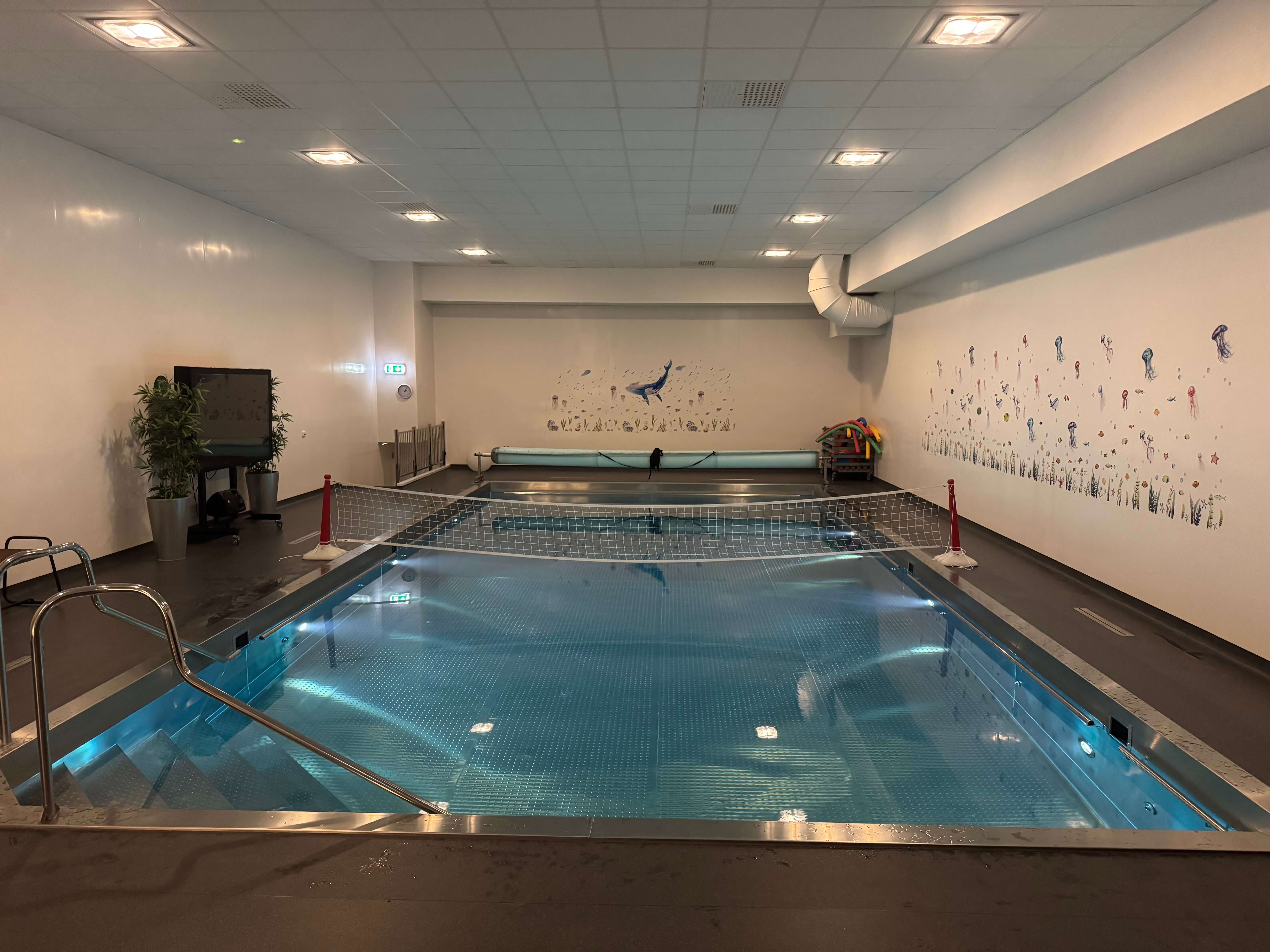 Volleybollnät i Aquabassängen på Vattenkompaniet 